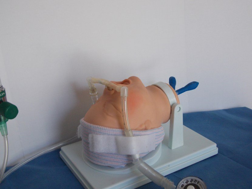 Adult Nasal Device