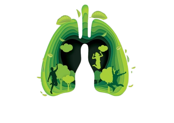 Environmental Impact